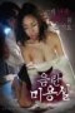 An-Obscene-Beauty-Salon-60x90